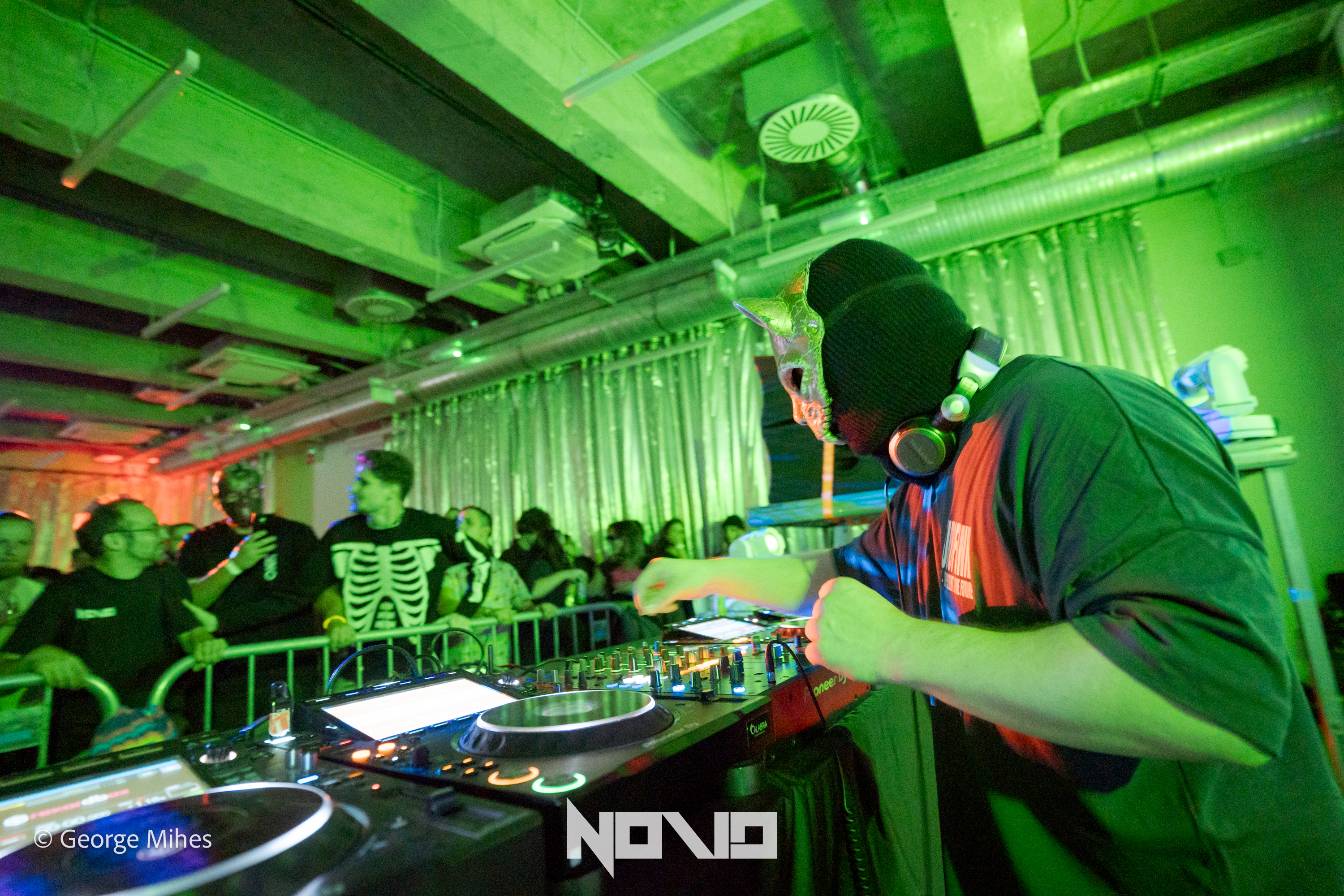 Zombie Cats @Faber photo