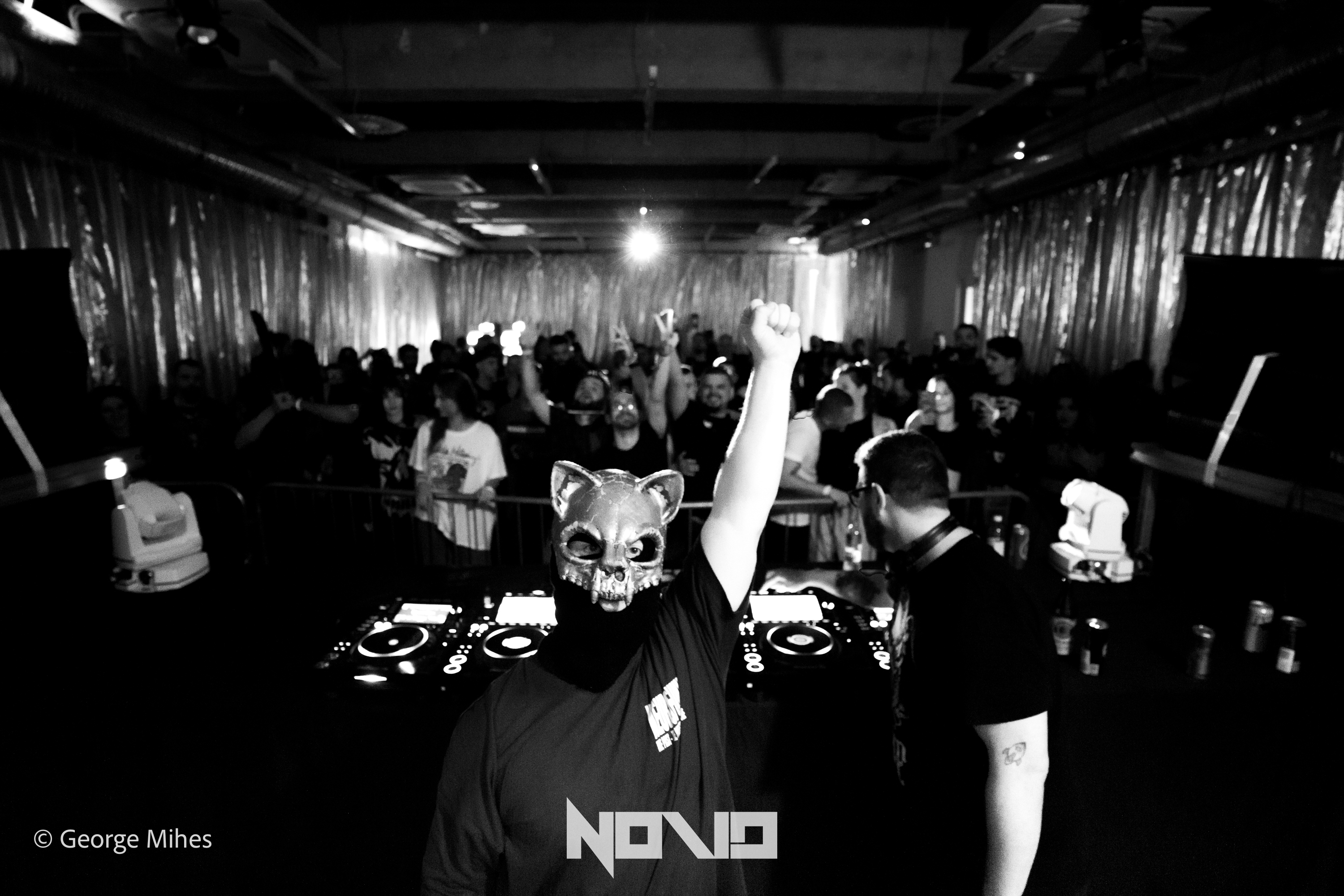 Zombie Cats @Faber photo