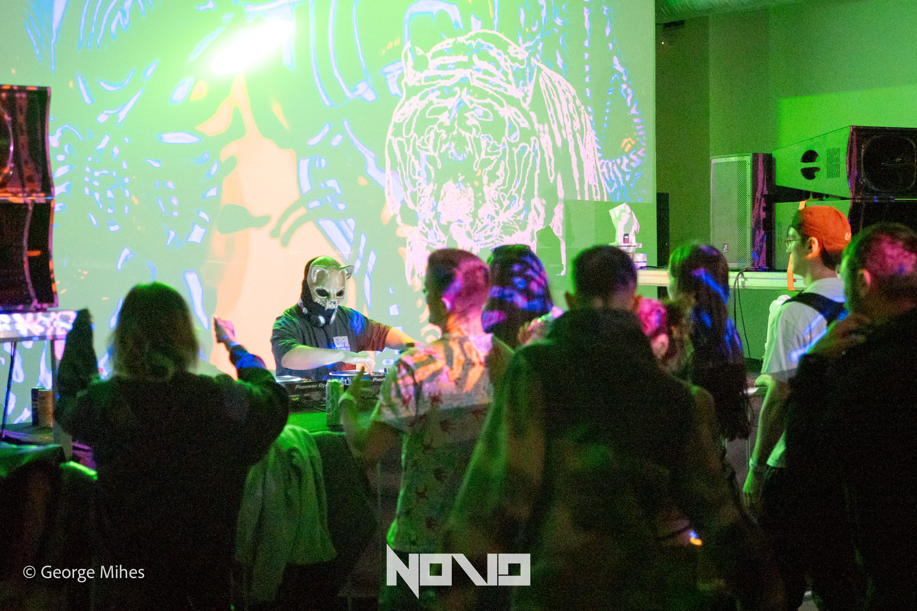 Zombie Cats @Faber photo