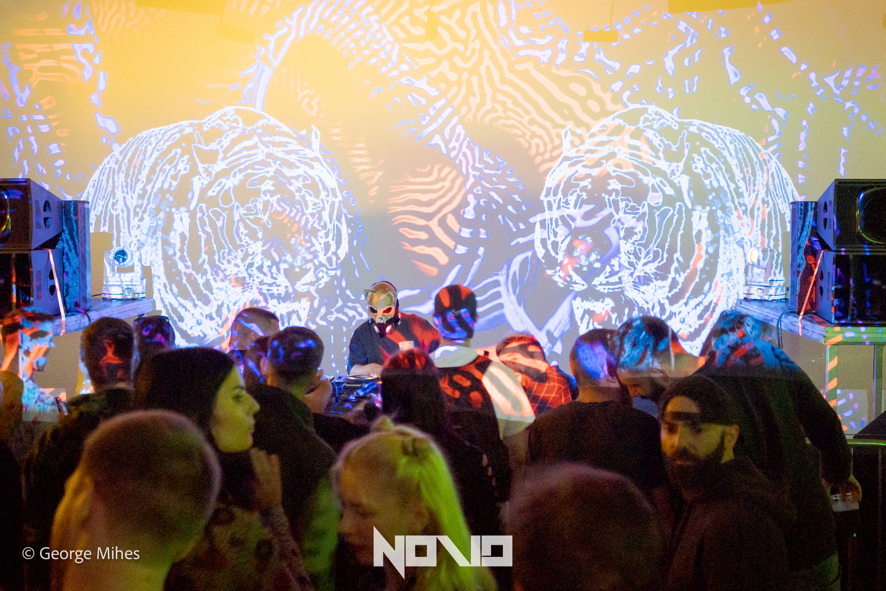 Zombie Cats @Faber photo