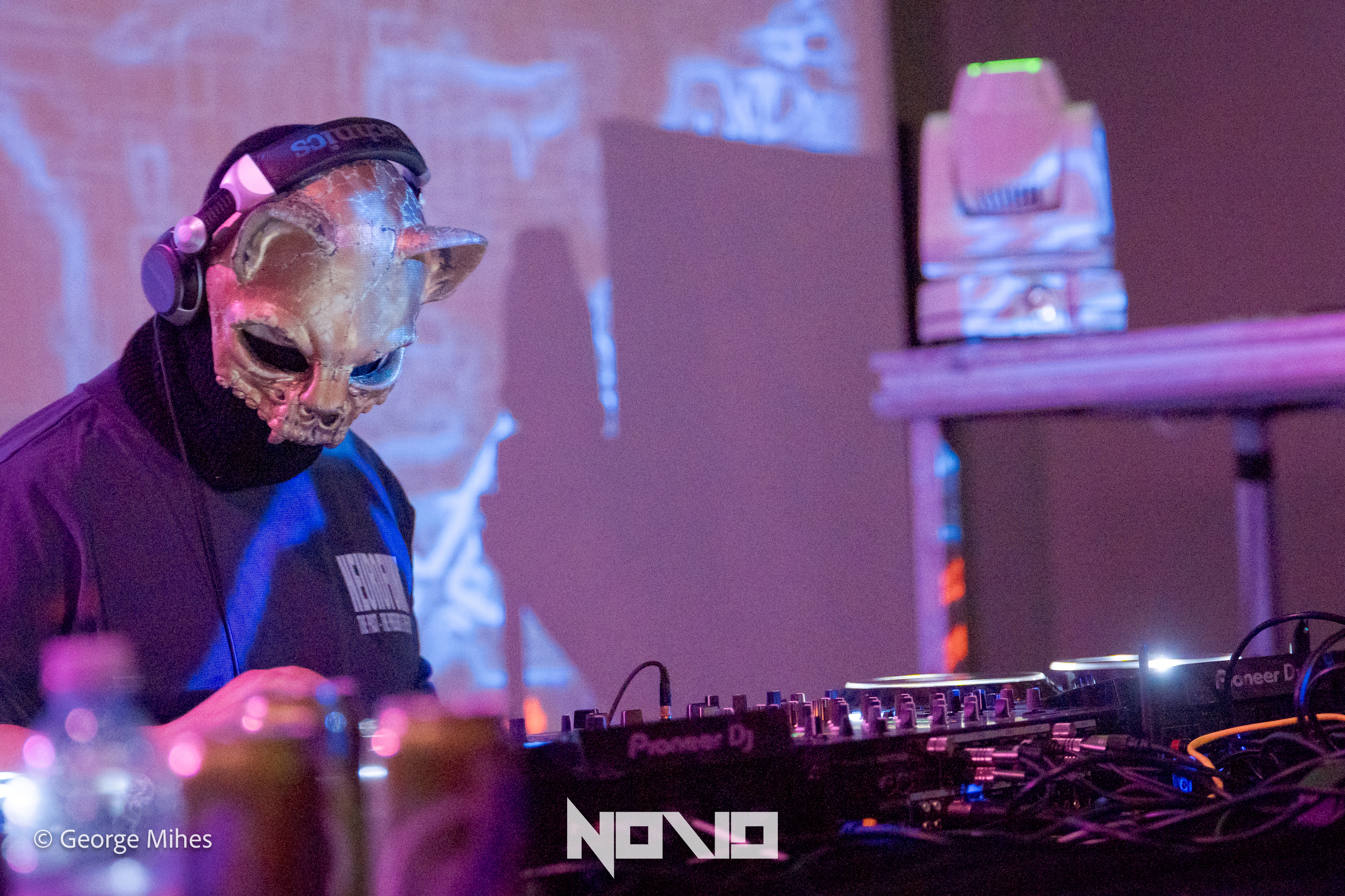 Zombie Cats @Faber photo