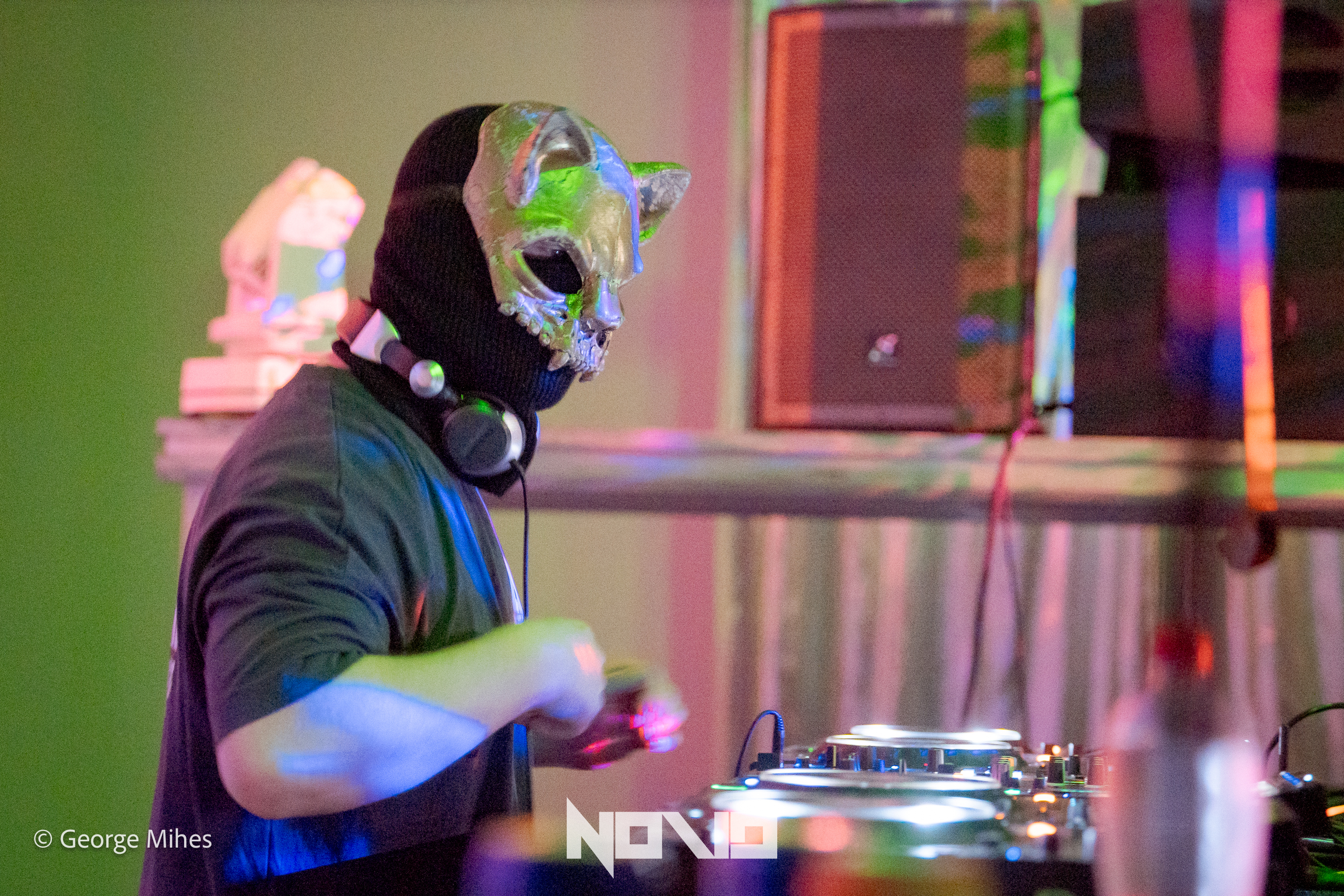 Zombie Cats @Faber photo