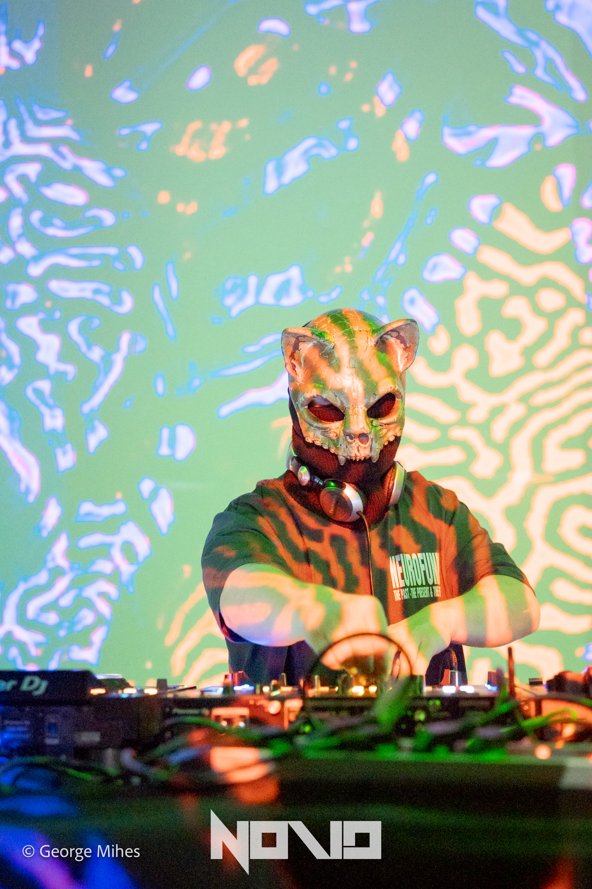 Zombie Cats @Faber photo