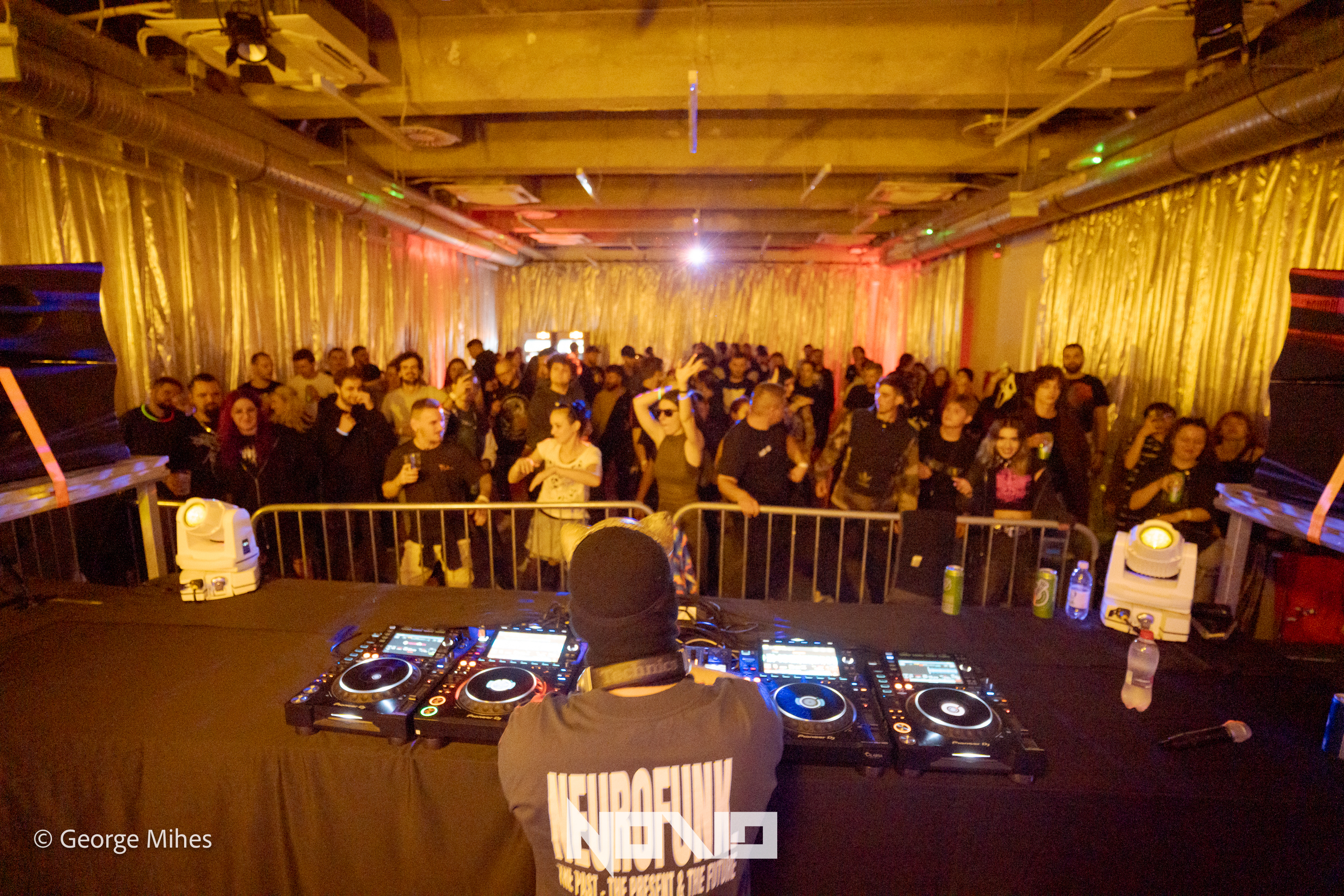 Zombie Cats @Faber photo