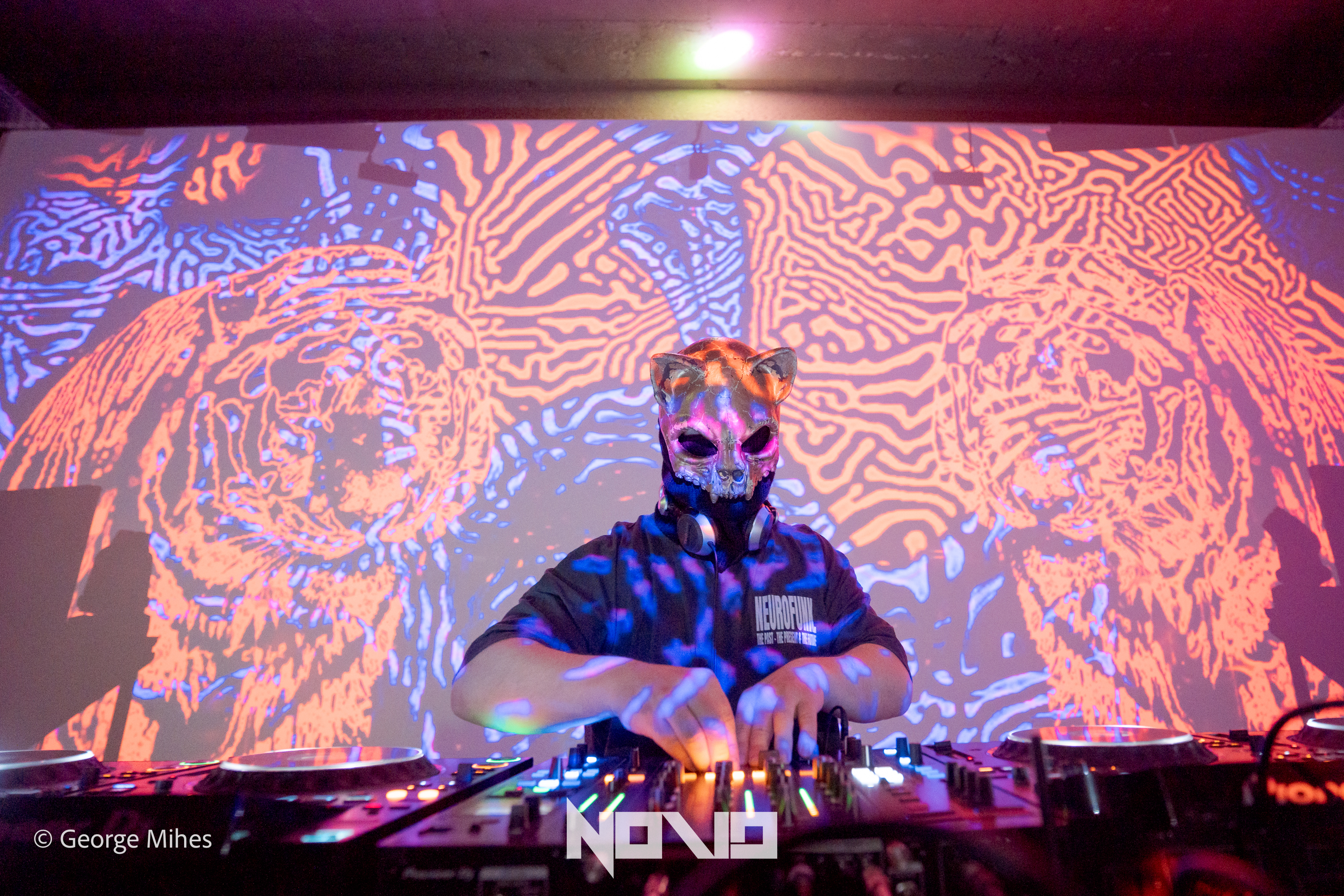 Zombie Cats @Faber photo