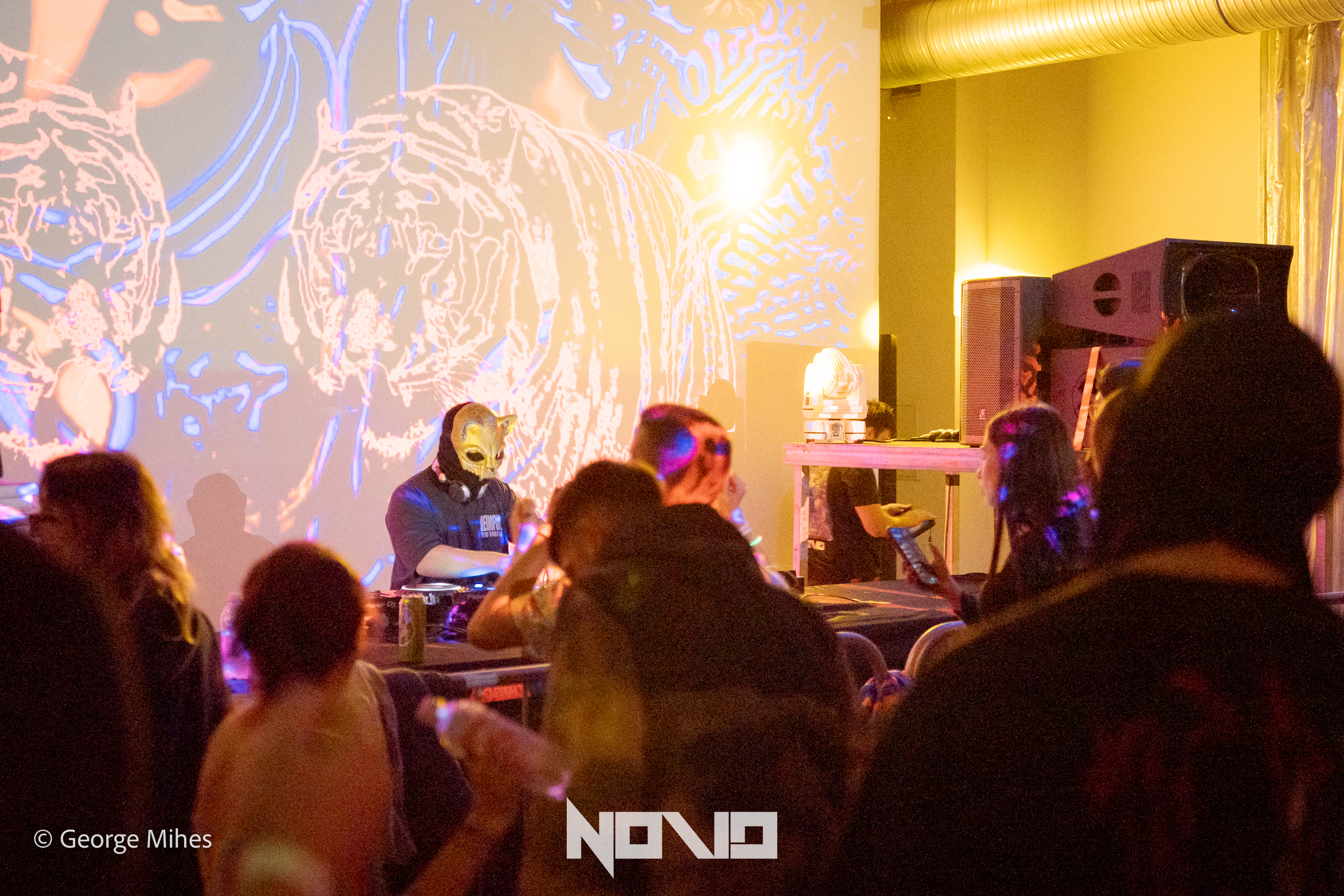 Zombie Cats @Faber photo