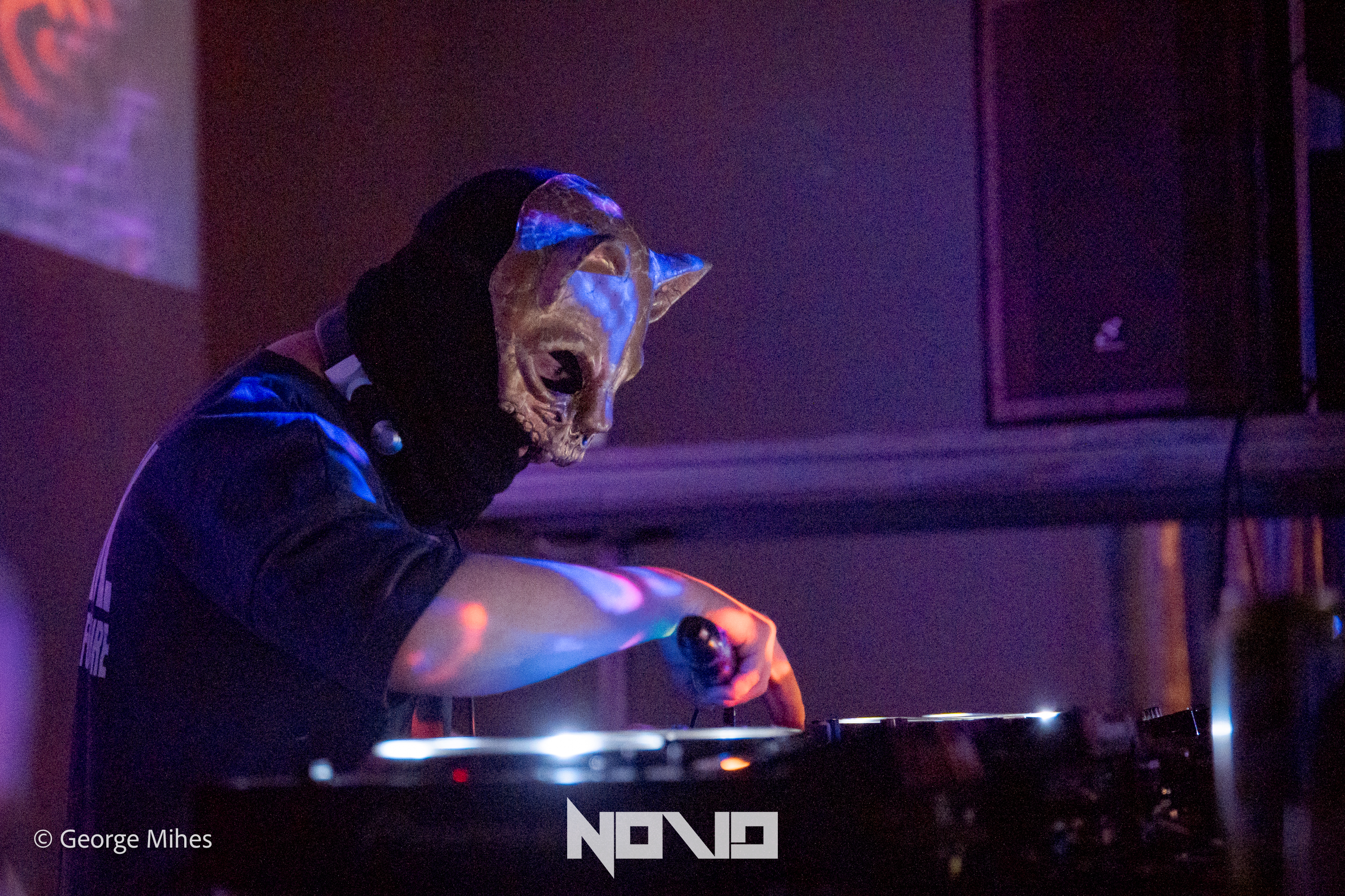 Zombie Cats @Faber photo