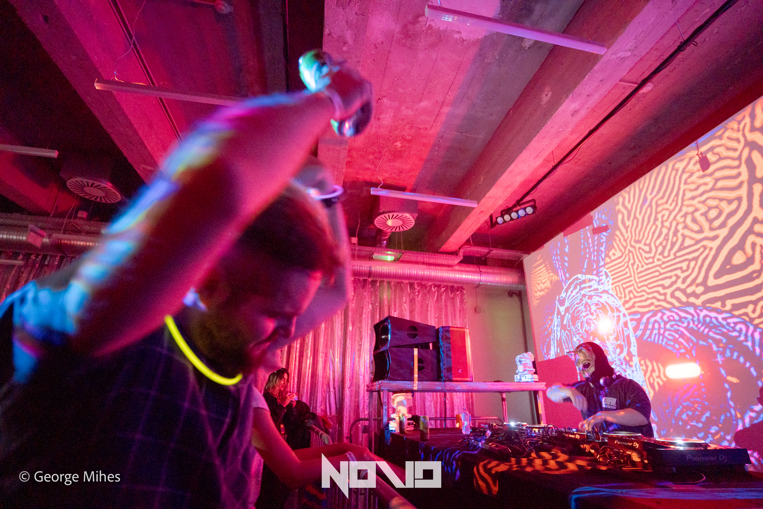 Zombie Cats @Faber photo